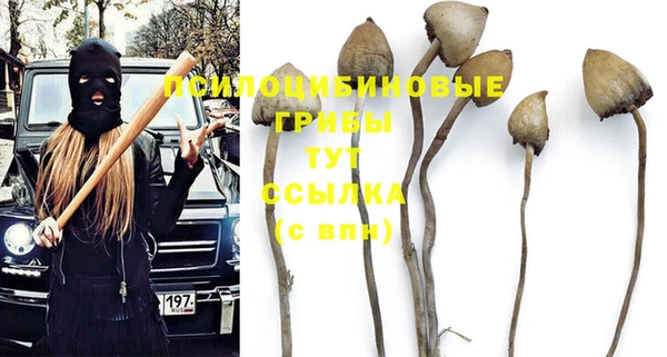 хмурый Армянск