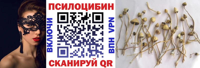 цены Бирюсинск МЕГА ONION Галлюциногенные грибы Magic Shrooms